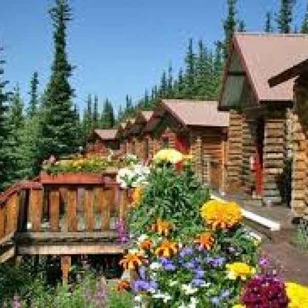 Denali/ Housekeeper